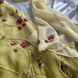 Yellow Green gorgeous exquisite vintage embroidered spaghetti strap long ball gown prom dress evening gown HZ1023