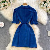 Blue Double-Breasted Striped Dress HZ1023