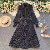 Fashionable A Line Polka Dot Long Sleeve Dress Fashion Dress HZ1023
