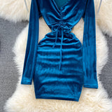 Sexy V Neck Velvet Long Sleeve Dress Fashion Dress HZ1023