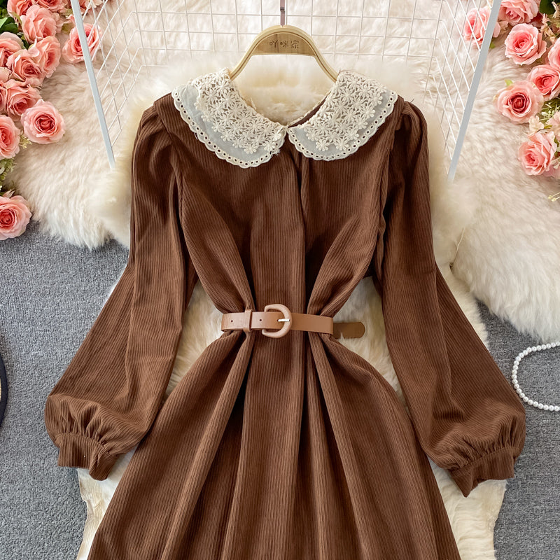 Sweet Lace Long Sleeve Dress A Line Fashion Dress HZ1023