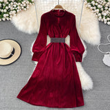 Elegant Velvet Long Sleeve Dress Fashion Dress HZ1023