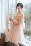 Cute tulle applique short prom dress homecoming dress HZ1023
