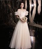 Champagne tulle long prom dress A line evening dress HZ1023