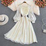 Champagne V Neck Long Sleeve Dress A Line Fashion Dress HZ1023