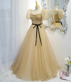 Lovely tulle long A line prom dress evening dress HZ1023