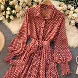 Fashionable A Line Polka Dot Long Sleeve Dress Fashion Dress HZ1023