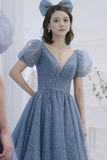 Blue v neck tulle long A line prom dress evening dress HZ1023