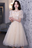 Champagne tulle short prom dress party dress HZ1023