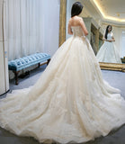 Champagne tulle lace long ball gown dress formal gown HZ1023