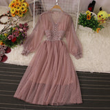 Cute Lace Long Sleeve Dress Fashion Dress HZ1023