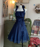 Blue Sparkly Sweet Elegant Short Chiffon Tulle Homecoming Dresses Evening Dresses Birthday Party Dresses Prom Dresses Prom Dresses HZ1023