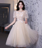 Champagne tulle short prom dress party dress HZ1023