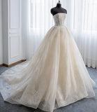 Champagne tulle lace long ball gown dress formal gown HZ1023