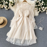 Cute Tulle Long Sleeve Dress Fashion Dress HZ1023