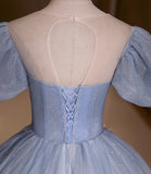 Blue shiny fashion elegant exquisite floral applique tulle lace long prom dress evening dress graduation dress HZ1023