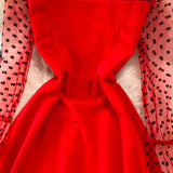 Elegant A Line Long Sleeve Dress See Through Dress HZ1023