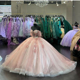 Pink Glitter Off-shoulder Crystal Applique Lace Tulle Sweet Long Ball Gown Evening Gown Adult Ceremony Dress graduation dress HZ1023