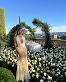 White V-neck tulle lace long elegant sexy ball gown evening dress party dress HZ1023