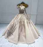 Champagne Gorgeous Elegant V-neck Applique Beaded Long Tulle Ball Gown Evening Dress HZ1023