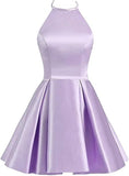 Blue/purple/red cute sweet short satin prom dress homecoming dress birthday party dress HZ1023