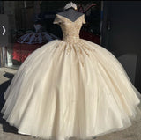 Champagne Color Gorgeous Shiny Exquisite Beaded Long Ball Gown Evening Dress HZ1023