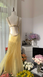 Light Yellow Gorgeous Shiny Fashion Elegant Exquisite Beaded Long Tulle Backless Fairy Ball Gown Evening Dress Birthday/Wedding Guest/Holiday Party Dress Prom Dress Valentine's Day Date Dress HZ1023