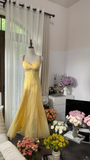 Light Yellow Gorgeous Shiny Fashion Elegant Exquisite Beaded Long Tulle Backless Fairy Ball Gown Evening Dress Birthday/Wedding Guest/Holiday Party Dress Prom Dress Valentine's Day Date Dress HZ1023