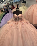 Pink Tulle Applique Beaded Long Sleeve Quinceaine Dress Prom Dress Graduation Dress Evening Dress Sweet 16 Years Old Dress HZ1023
