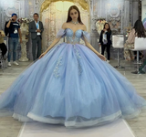 Blue shiny elegant cute sweet exquisite beaded long tulle princess ball gown, evening dress, adult ceremony dress HZ1023