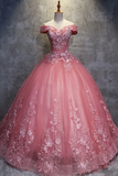 Off The Shoulder Long Ball Gown Lace Princess Prom Dresses Quinceanera Dresses HZ1023