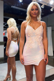 Cream Sequin Appliques Lace-Up Short Homecoming Dress HZ1023