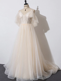 Beautiful Champagne Tulle Long A-Line Party Dress, Evening Gown HZ1023