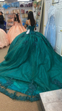 Off The Shoulder Ball Gown With Train Appliques Sweet 16 Dress Lace-up Back HZ1023