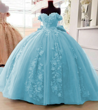 Blue gorgeous exquisite floral applique strapless long prom dress evening gown quinceanera dress sweet 16 years old dress HZ1023