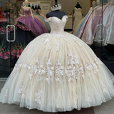 Elegant off-shoulder long champagne lace applique quinceanera dress princess dress HZ1023
