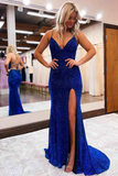 Elegant Royal Blue Mermaid Long Party Dress HZ1023