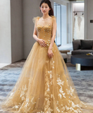 Champagne tulle lace long prom dress, tulle lace evening dress HZ1023