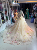 Gorgeous floral applique exquisite long sleeve sleeping beauty wedding dress evening gown ball gown HZ1023