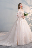 Light champagne tulle lace applique long ball gown evening dress wedding dress HZ1023