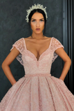 Gorgeous pink ball gown V neck floor length organza beaded crochet flowers evening dress HZ1023