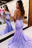 Lilac Sequin Lace V-Neck Long Prom Dress HZ1023
