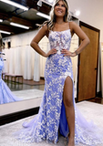 Sexy Prom Dresses Long, Party Dresses HZ1023