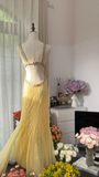 Light Yellow Gorgeous Shiny Fashion Elegant Exquisite Beaded Long Tulle Backless Fairy Ball Gown Evening Dress Birthday/Wedding Guest/Holiday Party Dress Prom Dress Valentine's Day Date Dress HZ1023