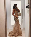 Champagne Gorgeous Elegant Exquisite Floral Appliques Long Mermaid Slim Ball Gown Sleeveless Tulle Prom Dress See-through Evening Dress Wedding Engagement Party Dress HZ1023