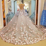 Light pink gorgeous delicate floral applique long tulle floor length train ball gown evening dress HZ1023