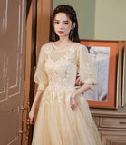 Champagne tulle lace long prom gown evening gown HZ1023