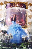 Amazing tulle long prom dress blue evening dress HZ1023