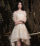 Champagne lace high low prom dress homeciming dress HZ1023