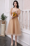 Cute tulle short A line prom dress homecoming dress HZ1023